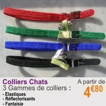 colliers_chat